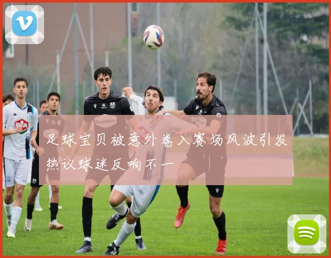 足球宝贝被意外卷入赛场风波引发热议球迷反响不一