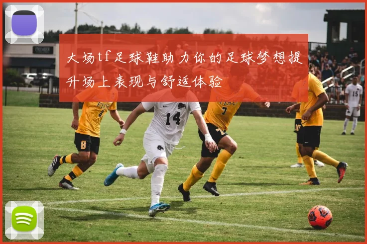 大场tf足球鞋助力你的足球梦想提升场上表现与舒适体验