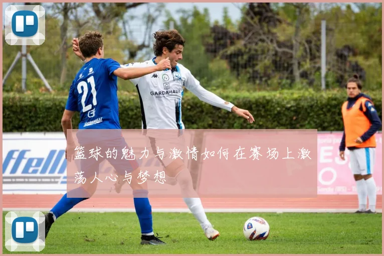 篮球的魅力与激情如何在赛场上激荡人心与梦想