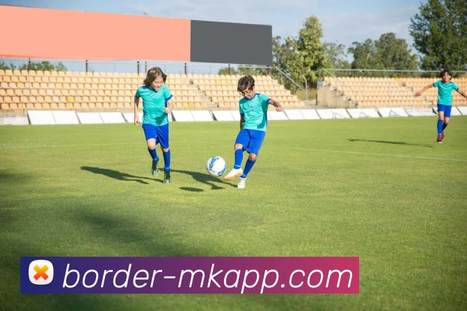 MK体育服务体系