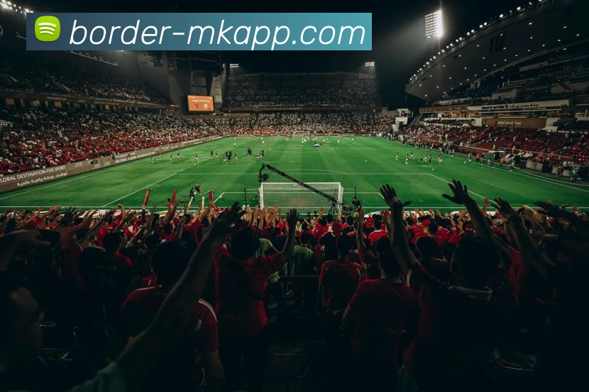 多媒体互动体验